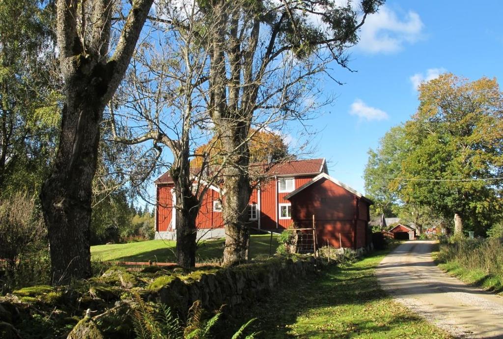 Hamlade träd, slingrande grusväg och faluröd bebyggelse.