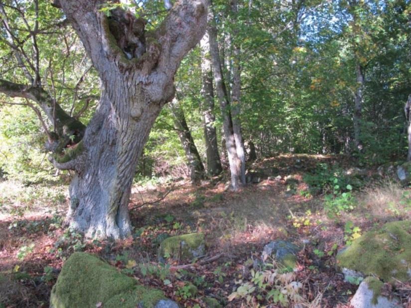 soldattorpet Sutareholm.
