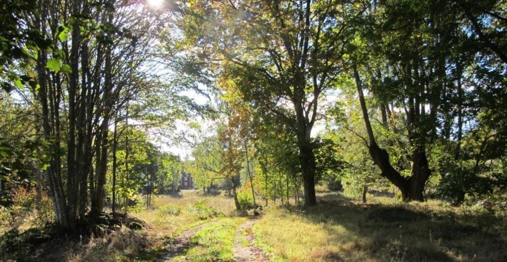 Lindbacken Utsnitt ur karta från