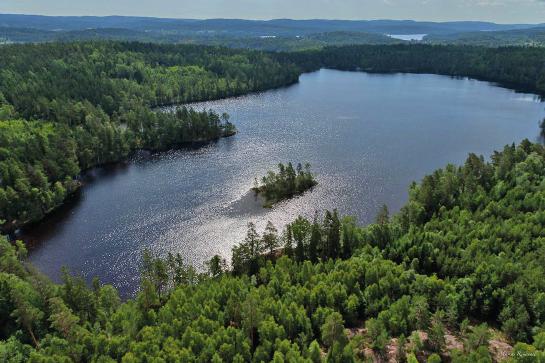 12. Södra Lelångs fiskevårdsområde Omfattar: Södra Lelång, Sillesjö/Sillebäcken, Ampetjärn/Ampetjärnsbäcken, Dammtjärn/Dammtjärnsbäcken, Flatetjärnet/Flatetjärnsbäcken, Käretjärnet/ Käretjärnsbäcken.