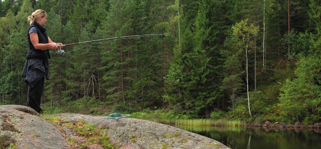 17. Västra Silens södra fiskevårdsområde Omfattar: Västra Silen (Dalslandsdelen), Skogstjärn, Klipperudstjärn, Göteborgstjärnet och Orremossetjärnet. Areal: 2 210 hektar.