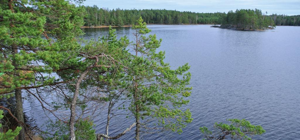 1. Askesjö fiskevårdsområde Omfattar: Askesjö, Ygnesjö, Husetjärn, Hedvatten, Udderudstjärn, Megsjön. Areal: 384,0 hektar.