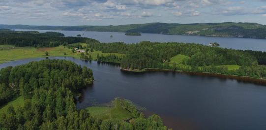 3. Granns fiskevårdsområde Omfattar: Grann, Braxetjärn, Edstjärn och halva Relälven. Areal: 650,0 hektar.