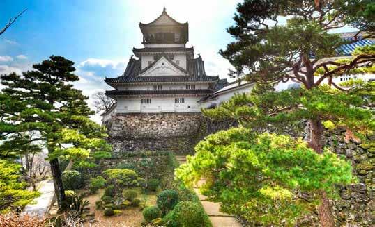 17 okt Kochi, Japan Kochi är beläget på ön Shikoku i södra delen av Japan. Orten är berömd för sina fina surfingmöjligheter vid Katsurastranden.