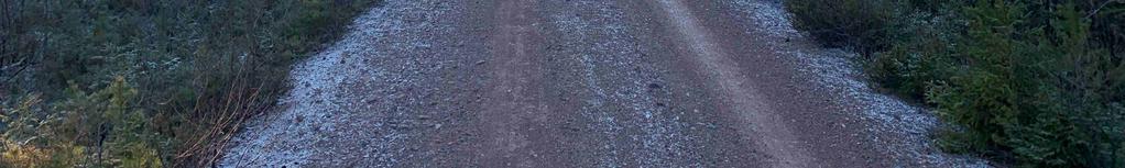 markberedning och plantering av avdelning 1, 2 och 3,