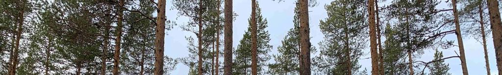 Det åligger köparen att överta ansvaret för samtliga