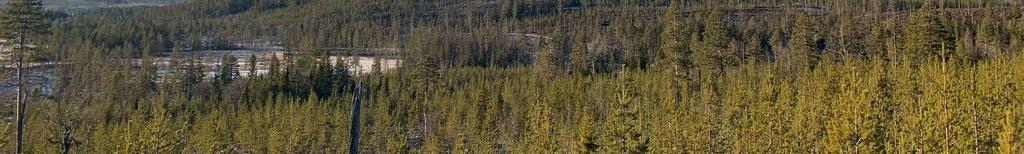 Avdelning 5 Belåning Egendomen säljs fri från lån. Pantbrev och inteckningar Fastigheten är gravationsfri. Planbestämmelser På fastigheten har nyligen en avstyckning avslutats.