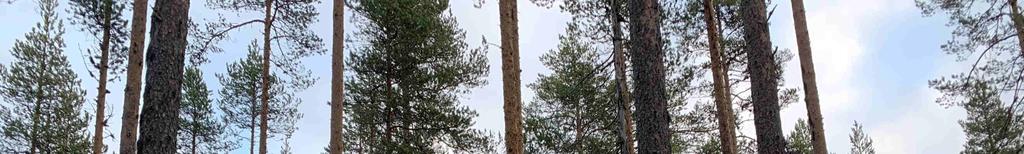 underlätta köparens egen undersökning av