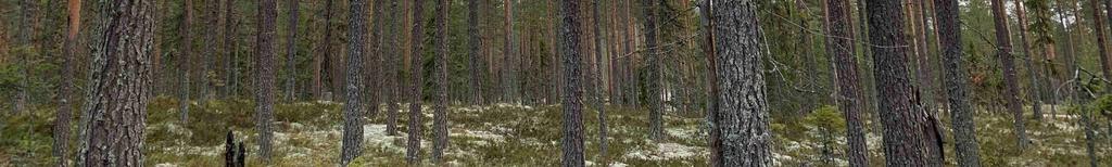 Avvikelser från verkliga förhållanden kan