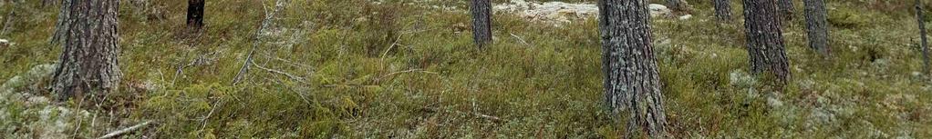 samt summan av dessa på grund av