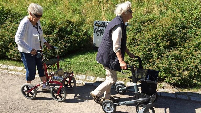 Tillgänglighet Två olika uppfattningar om tillgänglighet Fick möjlighet till extra träning genom promenaderna. Utmana sig att ta sig fram med rollator.