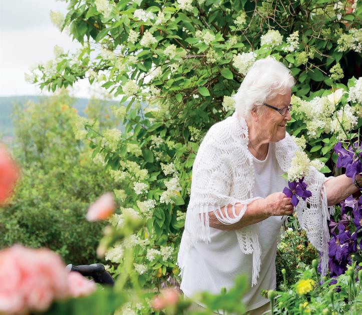 Målgruppen Äldre personer som upplevde att de var ensamma Begränsat socialt umgänge Inte hade möjlighet att själva ordna med