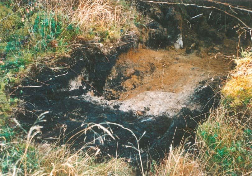 Kulturmiljövård Mälardalen Rapport 2007:97 Utredning på Julmyra Särskild arkeologisk utredning,