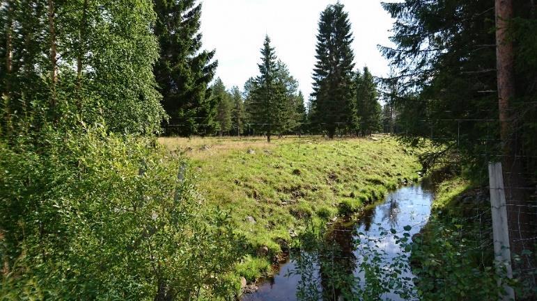 tillgå. Den befintliga arealen skulle alltså i teorin kunna försörja 33 procent av invånarna med rådande konsumtionsvanor. Vad är jordbruksmark, åkermark och betesmark?