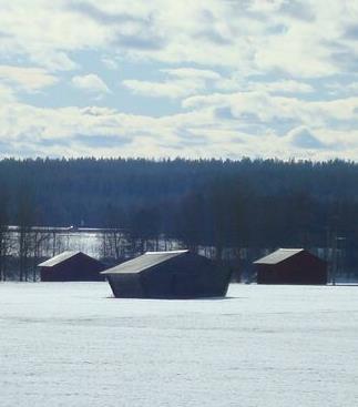 Storlek för området Norrbotten är ett stort län, med stora skillnader vad gäller såväl klimat som jordmån.