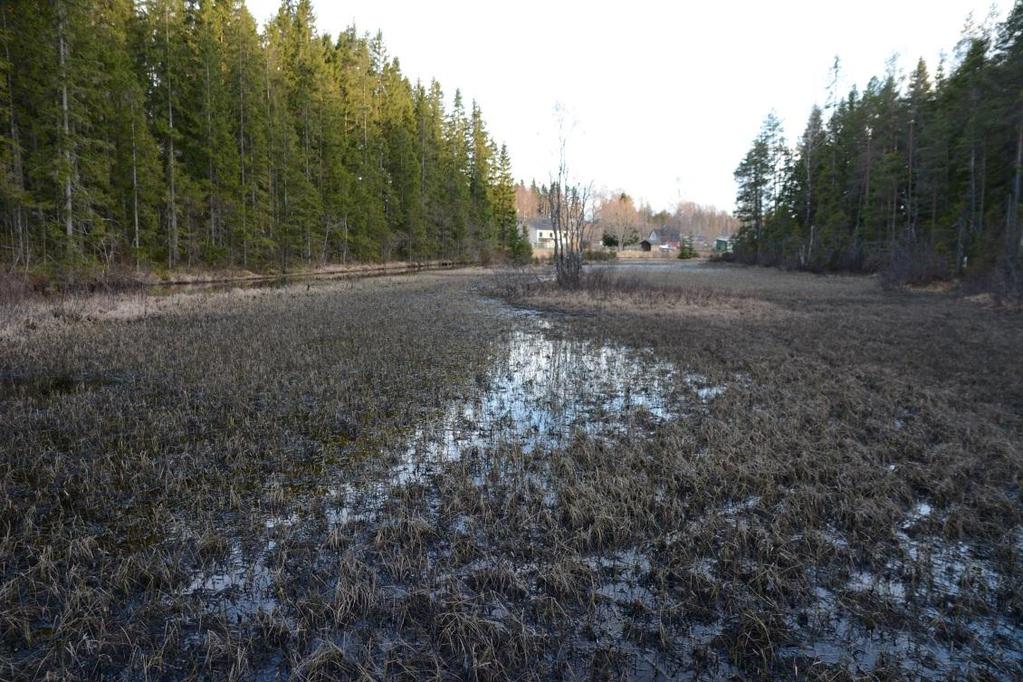 Tidigare NVI: - Figur 1. Objekt 2. Väg 2105 Kvarndammen nordost, inloppet till sjön. Lokal för vanlig groda och åkergroda Objekt id: 3 Småvatten/Dike 100 m av dike längs med vägens västra sida.