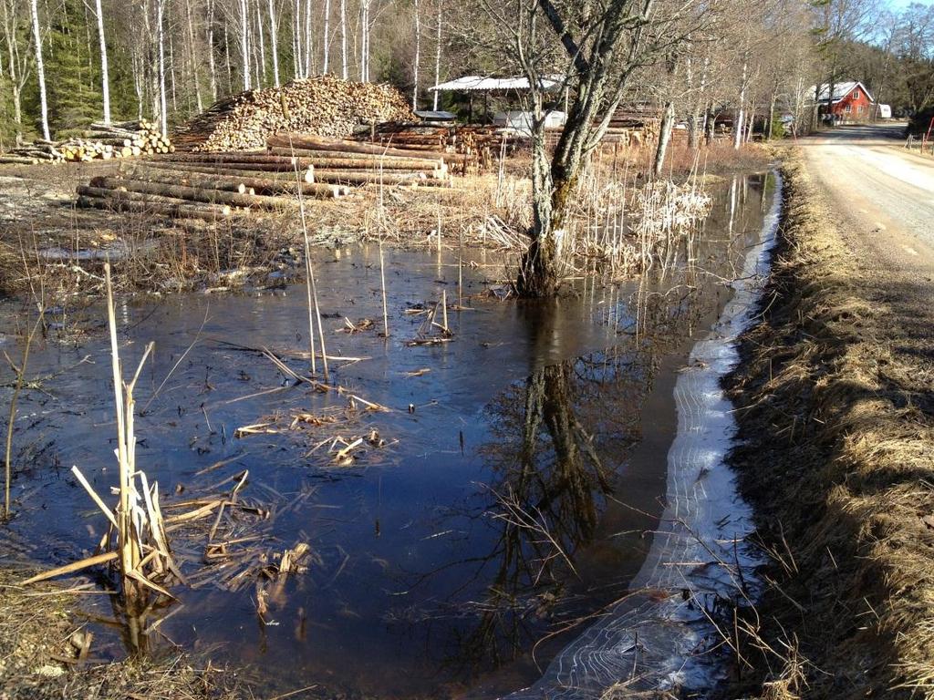 Naturvårdsarter: Vanlig groda Tidigare NVI: - Figur 2. Objekt 3. Dike längs med vägens västra sida. Väg 2105. Objekt id: 4 Småvatten/Dike Översvämmad del av Valboån, precis nedströms vägen.