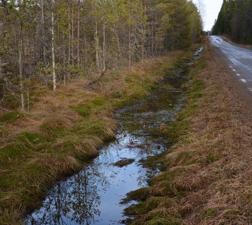 Objekt id: 2 med motivering: 2 Naturvårdsarter: Tidigare NVI: - Småvatten/dike Dike längs vägens nordsida i kanten av Stämmemossen. ca 12 äggsamlingar av vanlig groda ungefär i mitten på diket.