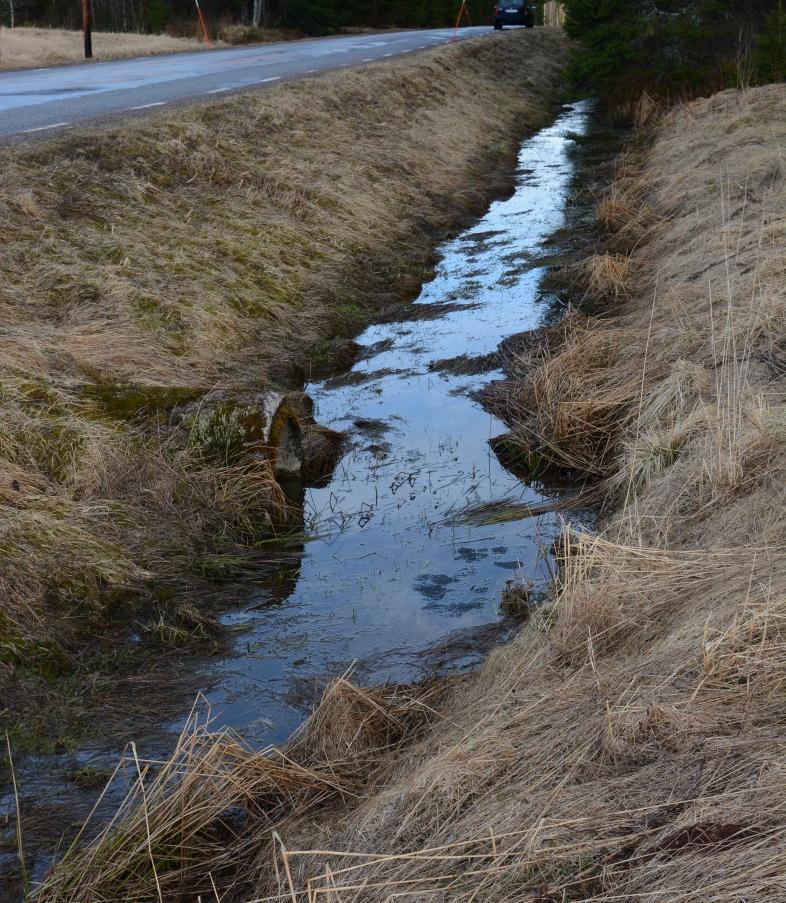 Figur 12. Objekt 4. Dike längs med väg 2094. Trummynning i bildens mitt där fynd av vanlig groda gjorts. Objekt id: 5 Småvatten/Dike Dike som gick in söderut från vägen.