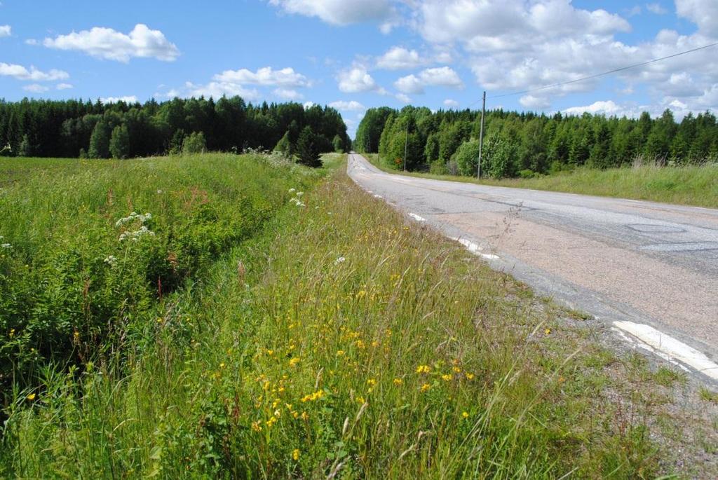 kråkvicker, hundstarr, ärenpris, daggkåpa, bergssyra, harstarr, liten blåklocka. Klassning TrV med motivering 3 Artrik vägkant, 21 klass 2 arter, torr sydsluttning, fjärilsrikt.