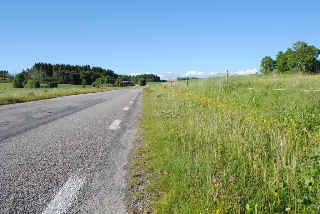 med motivering: 3 Enstaka för trakten förekommande arter. Naturvårdsarter: - Tidigare NVI: - Figur 20. Objekt 3. Artrik vägkant, hänsynsobjekt. Väg 2081.