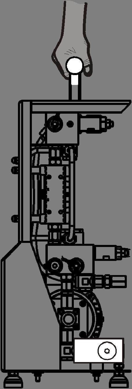 Transport av