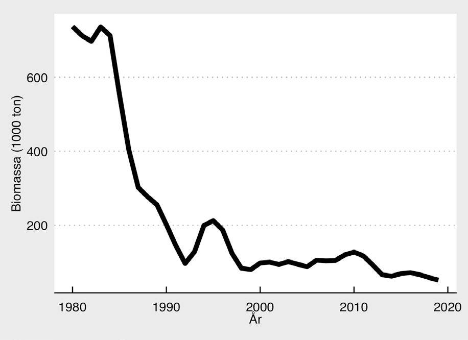 Fig. 1. Biomassa av individer med kommersiell storlek (35 cm eller längre) i det östra torskbeståndet i Östersjön.