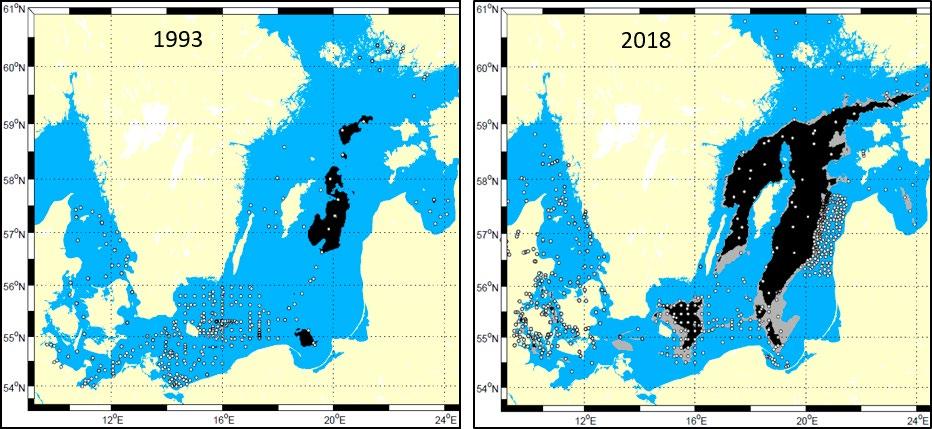 siv jaktkampanj. Nu, efter ungefär hundra år, börjar gråsälen bli allt vanligare, och under 2000-talet har antalet räknade sälar ökat från omkring 100 till unge fär 2 000.