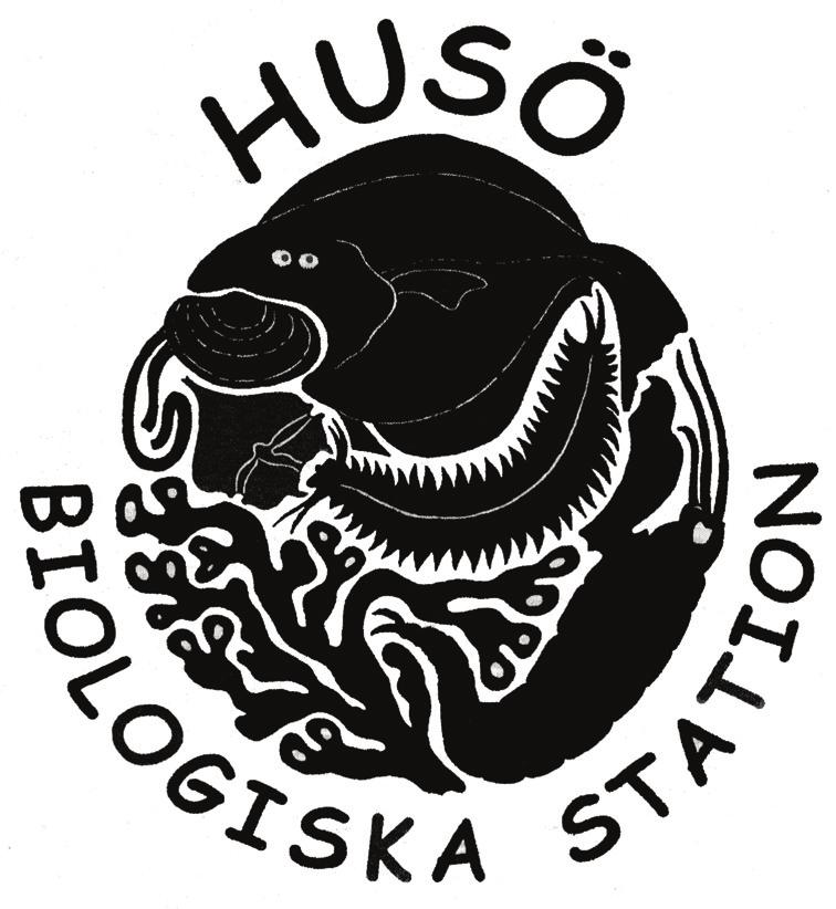 FORSKNINGSRAPPORTER FRÅN HUSÖ BIOLOGISKA STATION No 126 (2010) Suvi Kiviluoto Basinventering av potentiella lekplatser för abborre (Perca fluviatilis) och gädda (Esox lucius) i grunda vikar på