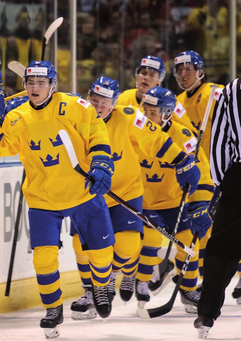 SVENSKA ISHOCKEYFÖRBUNDET