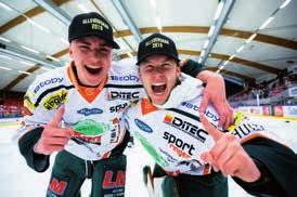 Slutspelsserie till play off till direktkval till SHL 2019/2020 I slutspelsserien deltog lag 3-8 från HockeyAllsvenskans grundserie 2018/2019. Serien spelades som en enkelserie.