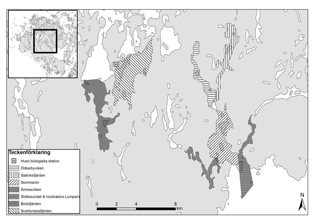 2 Tidigare undersökningar gällande gös har gjorts på Åland av bl.a. ABRAHAMSSON (2011). Liknande habitatkarteringar har även utförts av bl.a. KIVILUOTO (2010) och SALO (2010), men dessa har gällt abborre (Perca fluviatilis L.