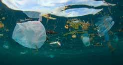Den suger upp skräp ur havet dygnet runt, alla dagar på året. En enda Seabin samlar in cirka 1,5 kilo plastskräp om dagen! - Jag spenderade den största delen av min barndom i vattnet.