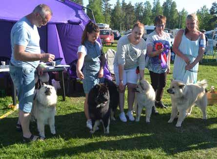 BIR och BIM-valp 4-6 månader Stagnitica s Allie, Stagnitica s Amadeus Slutligen utsågs BIR-veteran Sorschies Ze Butterfly och BIM-veteran Foxfire Brilliant Benji.