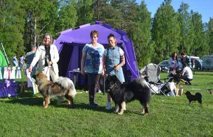 Dessa delades ut till BIR och BIM, bästa juniorhane och juniortik samt bästa veteranhane och vetarantik. Bästa uppfödargrupp, Sorschies kennel.