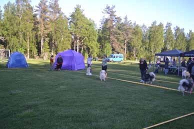 Campingen passar bra för hundutställningar, med fina promenadstigar runt om samt stora gräsytor.