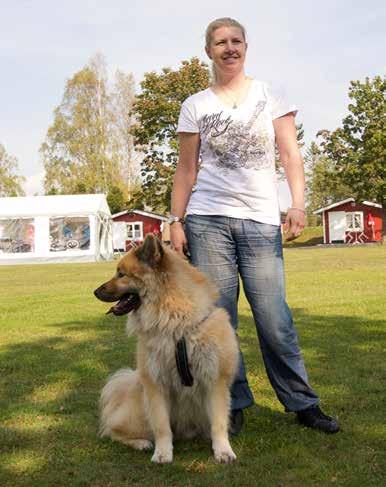 Problemet var väl att vi aldrig hade hört talas om rasen innan, än mindre sett en i verkligheten. Så vi åkte på utställningar och tog kontakt med några uppfödare. Därefter var vi eurasierfrälsta.