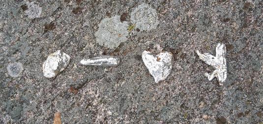 Vi gjorde brännjärn som användes för att tillverka lägermärken Patrullernas ringar omgjutna till konstverk På morgonen väcktes vi till färdig frukost. Gröt och mackor som ledarna hade fixat.