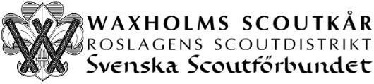Vi har även haft övernattning tillsammans med Insekterna, som ni kan läsa om här i! Vi är 11 scouter och en halv ledare. Vi har tävlat i Roslagens Dag där vi vann Vildsvinsbeten.