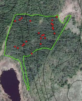 Norr om Nedre Lysstjärnen Nordost om Lillskog, Hälsingland. Avregistrerad nyckelbiotop på 4,5 ha. Området gränsar till hyggen och ungskog och till myrkanten på en sjö i söder.