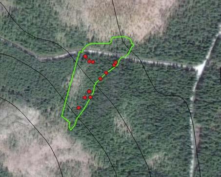 Blistermyran öst Nordost om Lillskog, Hälsingland. Avregistrerad nyckelbiotop på 1,4 ha.