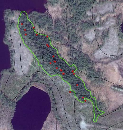 elingen Ost-nordost om Los, precis norr om väg 310, Hälsingland. Avregistrerad nyckelbiotop på 4,3 ha.