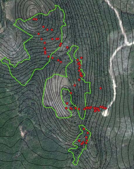 Gällsjöberget- Högvedsberget öder om Lillskog, Hälsingland. Tre avregistrerade nyckelbiotoper på 13,5 ha, 10,2 ha och 2 ha.