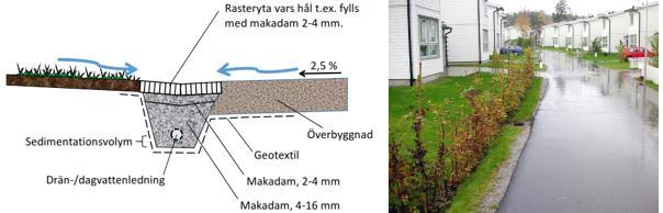 Målet med växtbäddar är att efterlikna naturens förlopp och att med hjälp av fysisk, kemisk och biologisk aktivitet omhänderta och rena dagvatten och bidra till att en naturlig hydrologi uppnås i
