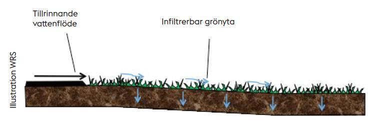 5.3.3 Nedsänkta grönytor Infiltration i grönyta är en enkel, billig och driftstabil anläggning för att omhänderta dagvatten och anläggs med fördel i anslutning till vägar, parkeringsytor och