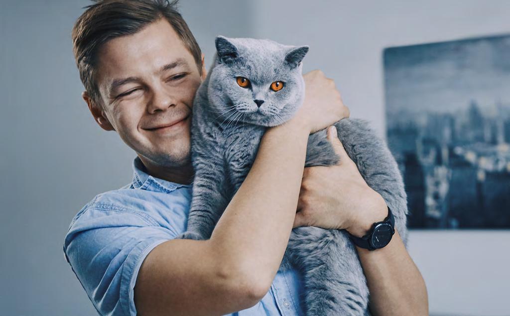 Kotja, brittiskt korthår, och Dima Vi kan försäkringar, sparande och pension Innehåller förköpsinformation Kattförsäkring 2019 Även någon med nio liv kan behöva en veterinär.
