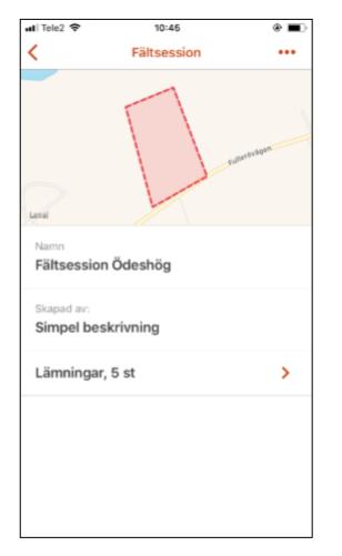 Visa lämningar tar dig till listan över ingående lämningar. Uppdatera importerad data uppdaterar dina importerade raster- eller vektordata, om ändringar gjorts.
