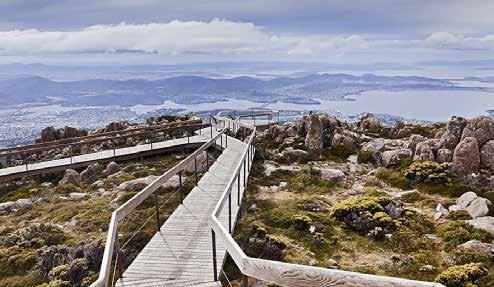 Hälften av dem bor i huvudstaden Hobart där vi går in med vårt fartyg. Hobart är Australiens näst äldsta stad efter Sydney och är rik på historia och vacker arkitektur.