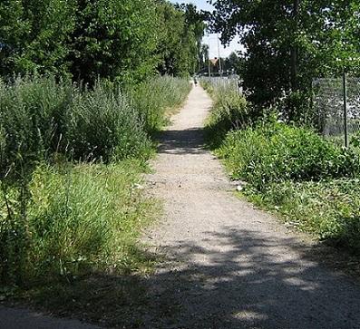 Utmed Petters väg finns gång- och cykelväg och längs Murarevägen finns en smal trottoar för gångtrafik. En stig finns även söder om fjärrvärmeanläggningen. Stigen är grusad men inte belyst.
