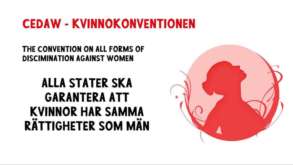 FN:s Kvinnokonvention, The Convention on the Elimination of All Forms of Discrimination against Women (CEDAW), är en viktig utgångspunkt för arbetet med kvinnors rättigheter.